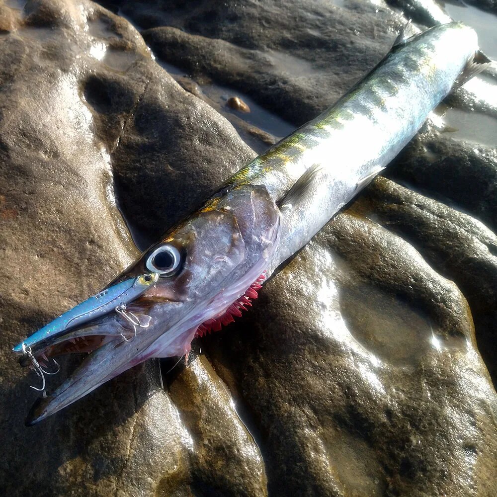GOBAIT VIB Fishing Lure 20g 25 – обзор и цена Fishing Hook Treble